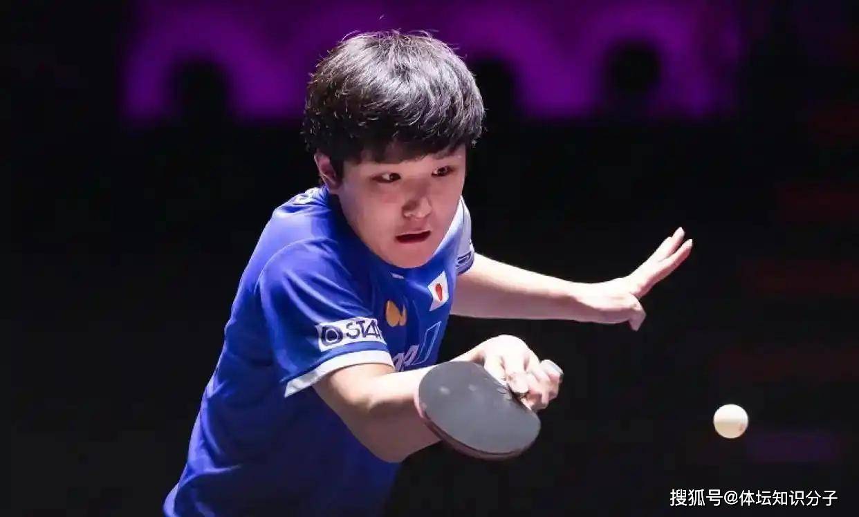包含中国乒乓球队力克比利时乒乓球队，张本智和惊艳世界的词条