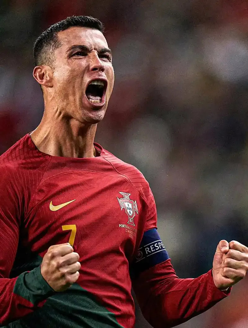 塞尔维亚球队以不屈不挠的精神获得胜利，令人动容的简单介绍