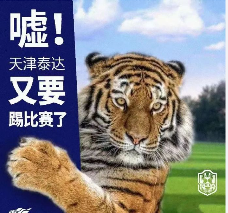 天海主场难敌泰达，连续不胜局惹人忧