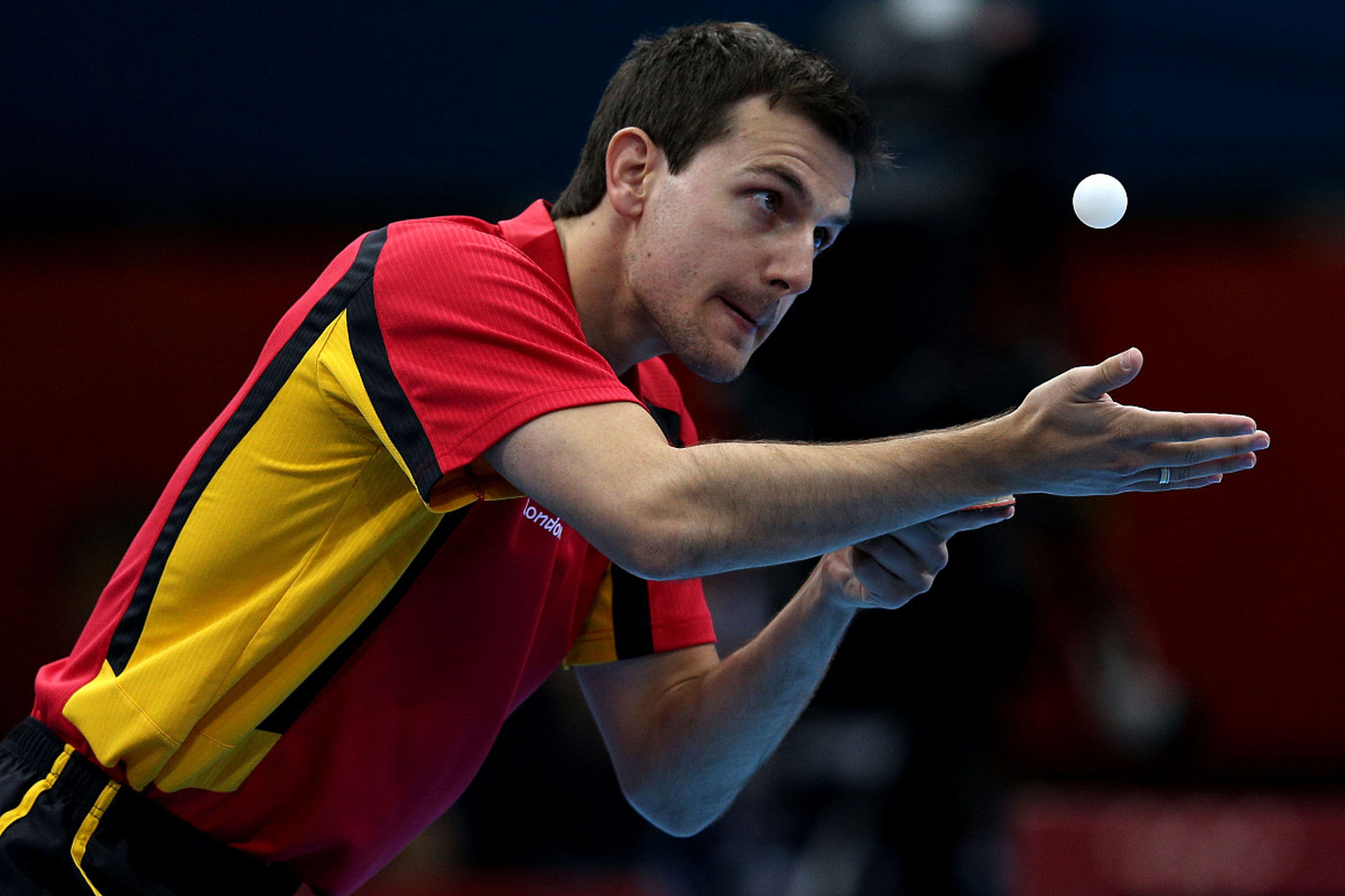 日本乒乓球队强势波兰乒乓球队，波尔高光表现的简单介绍