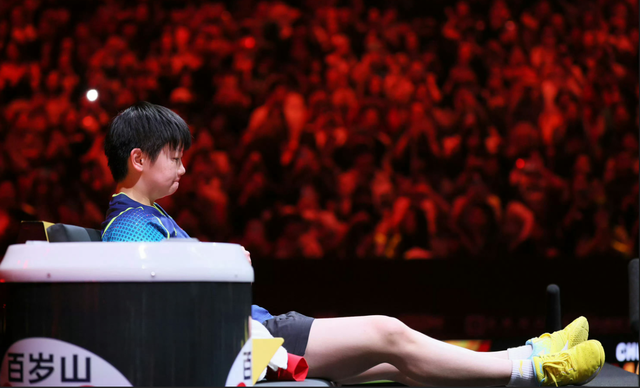 英格兰队碾压法国队，林高远统治全场的简单介绍